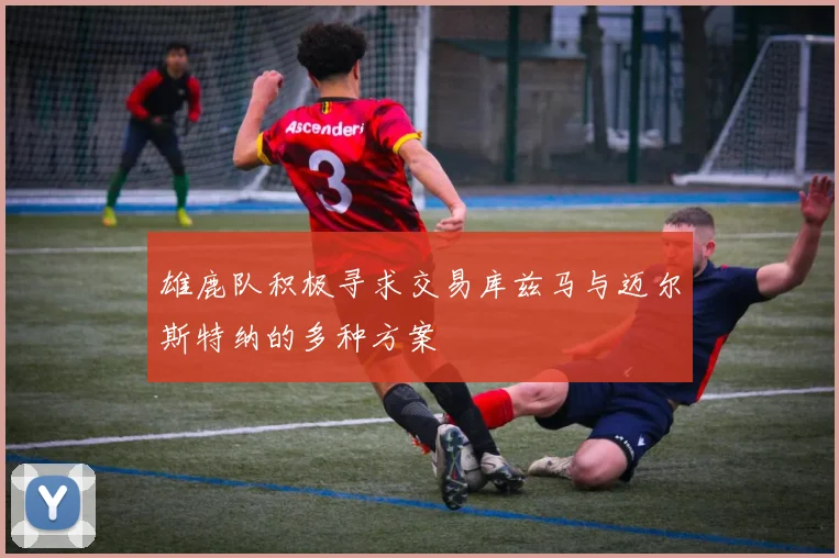 雄鹿队积极寻求交易库兹马与迈尔斯特纳的多种方案
